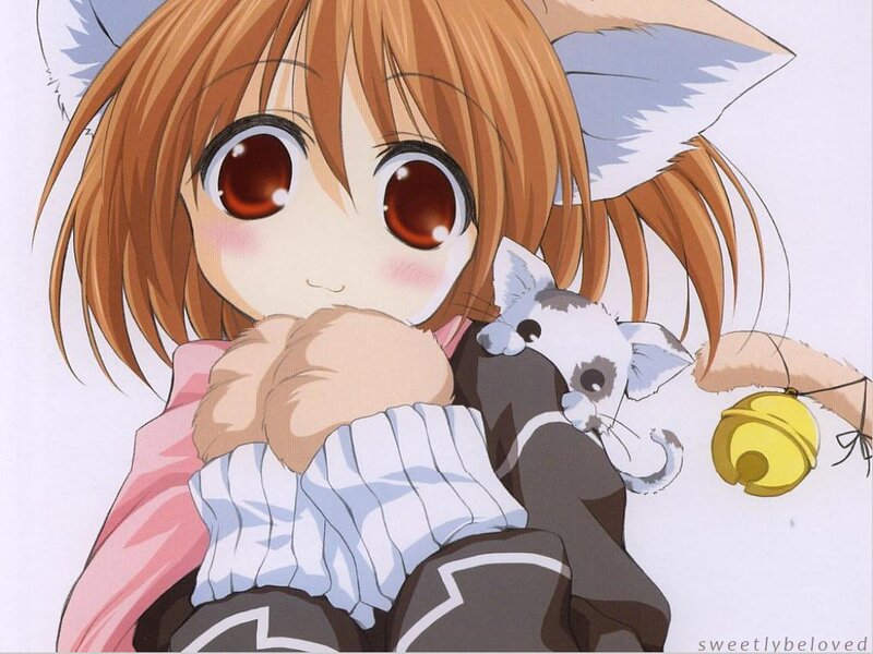 Anime Girl with Cat Ears — Brown, Cute