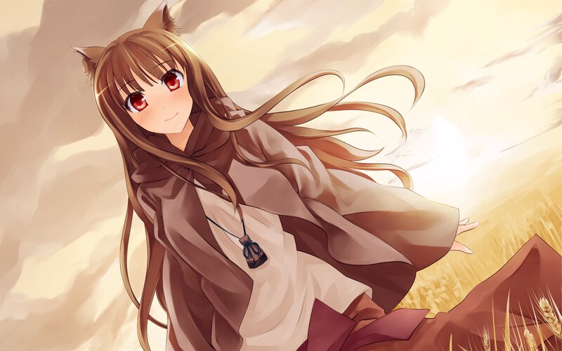 Anime Girl with Cat Ears — Brown, Serene, Sunset, Cat Ears