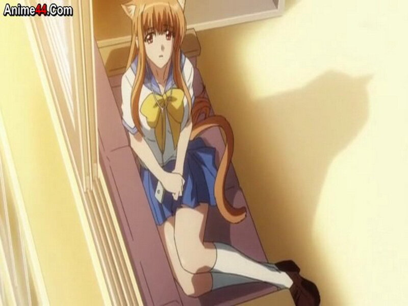 Anime Girl with Cat Ears — Brown