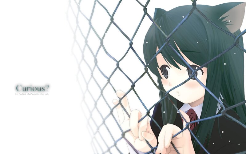 Anime Girl with Cat Ears — Green, Curious