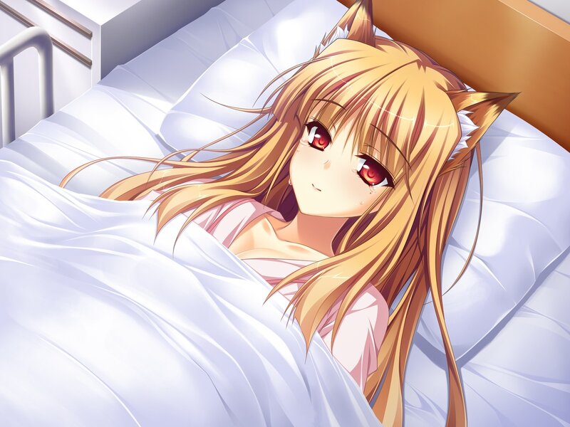 anime girl with cat ears in bed