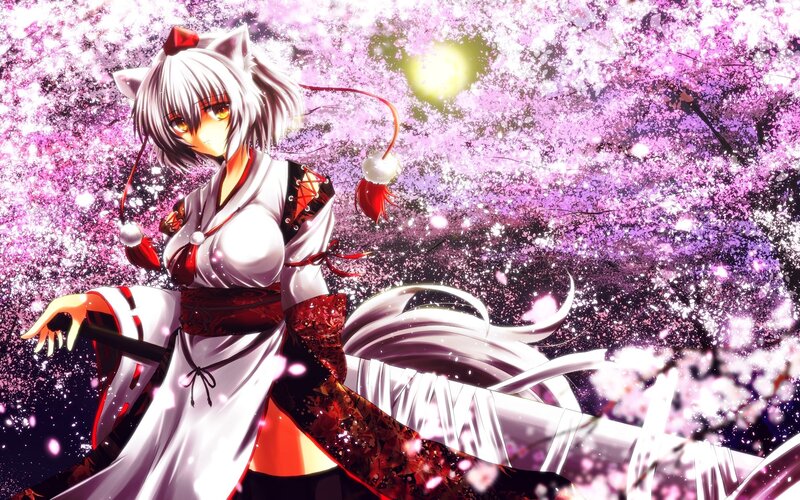 anime girl with cat ears in cherry blossoms