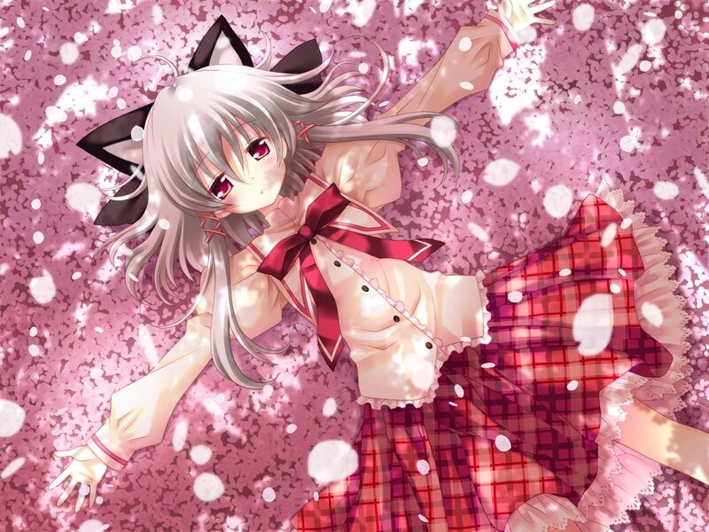 anime girl with cat ears in cherry blossoms