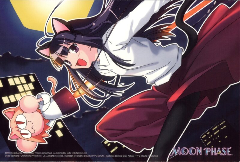 Anime girl with cat ears in night scene