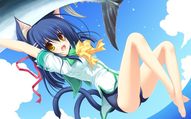 anime girl with cat ears in sky