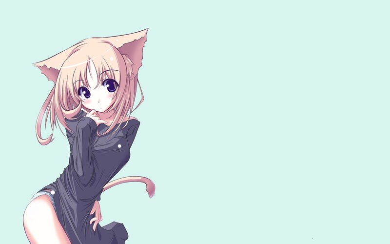 Anime Girl with Cat Ears — Light Blue