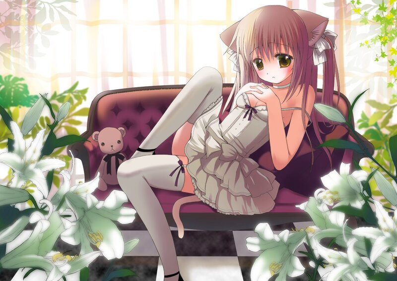 Anime girl with cat ears on a couch
