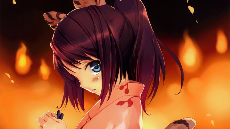Anime Girl with Cat Ears — Orange, Dramatic, Cat Ears, Fire