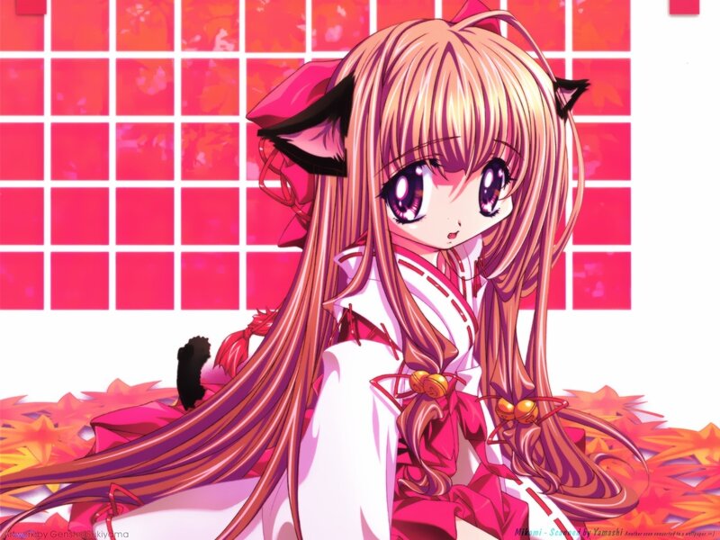 Anime Girl with Cat Ears — Pink, Calm, Autumn, Cat Ears