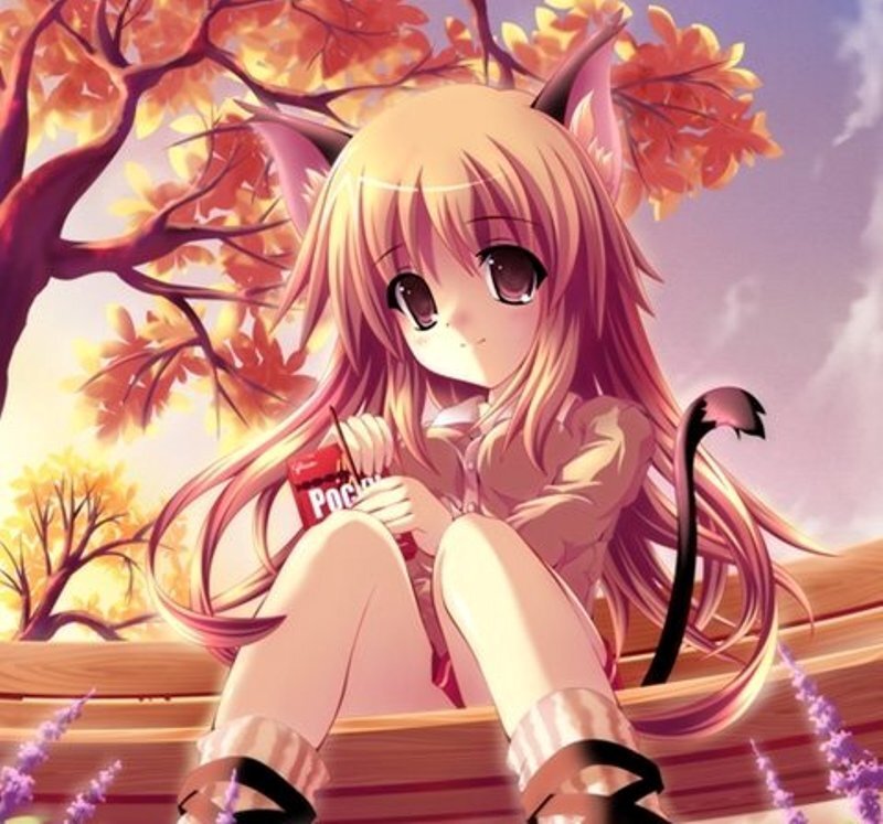 Anime Girl with Cat Ears — Pink, Calm, Autumn
