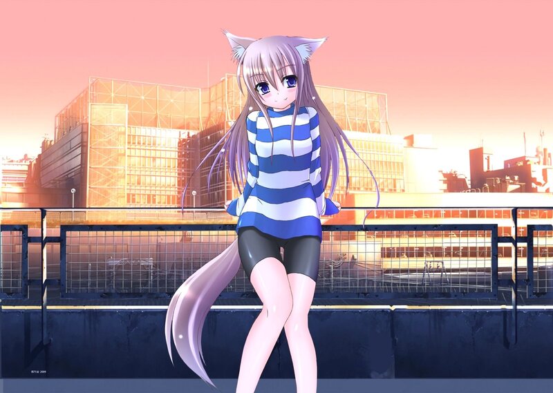 Anime Girl with Cat Ears — Pink, Calm, Sunset