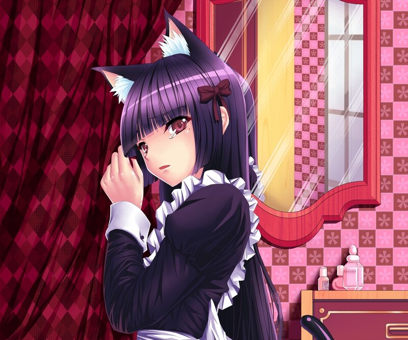 Anime Girl with Cat Ears — Purple, Calm, Afternoon