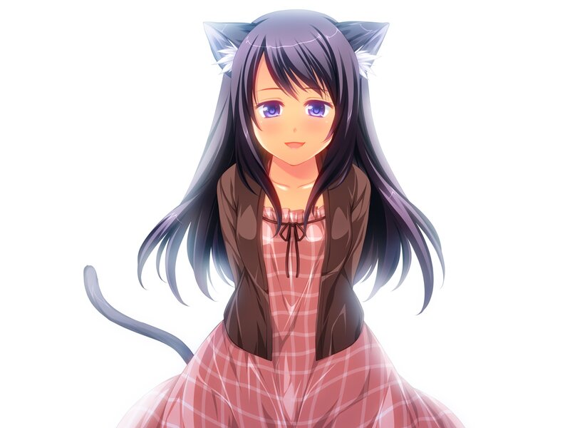 Anime Girl with Cat Ears — Purple, Calm, Cat Ears, Cat Tail