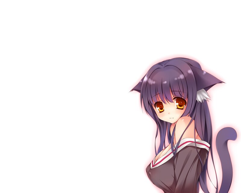 Anime Girl with Cat Ears — Purple, Calm, Cat Ears, Tail, Long Hair