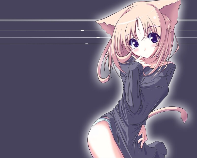 Anime Girl with Cat Ears — Purple, Calm, Night, Cat Ears, Tail