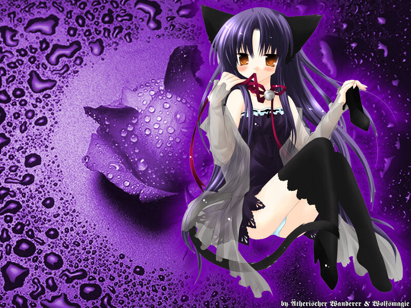 Anime Girl with Cat Ears — Purple, Dramatic, Cat Ears, Tail, Rose
