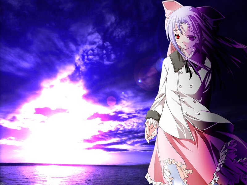 Anime Girl with Cat Ears — Purple, Dramatic, Sunset, Cat Ears