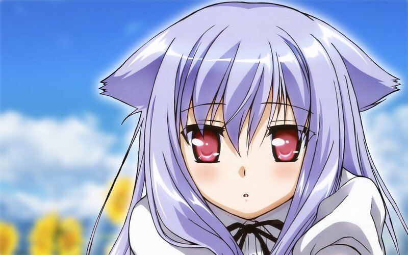 Anime Girl with Cat Ears — Purple, Serene, Afternoon