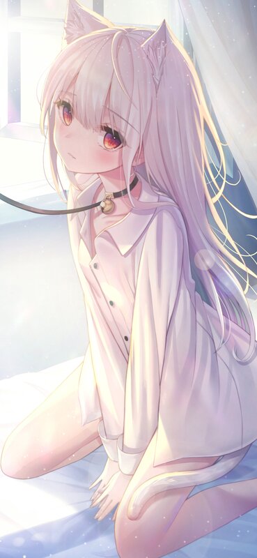 Anime Girl with Cat Ears — Purple, Serene, Morning