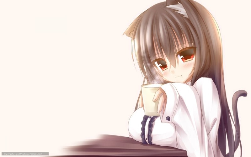 Anime Girl with Cat Ears — White, Calm, Cat Ears, Cat Tail, Cup