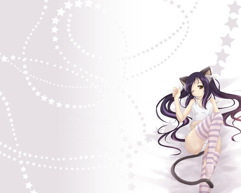Anime Girl with Cat Ears — White, Calm, Cat Ears, Cat Tail