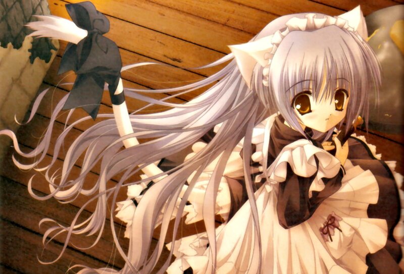 Anime Girl with Cat Ears — White, Calm, Cat Ears, Long Hair, Dress