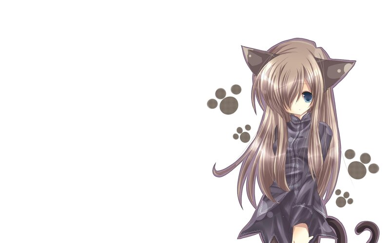Anime Girl with Cat Ears — White, Calm, Cat Ears, Paw Prints, Tail
