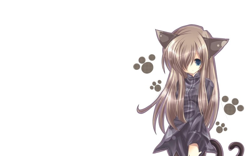 Anime Girl with Cat Ears — White, Calm, Cat Ears, Paw Prints