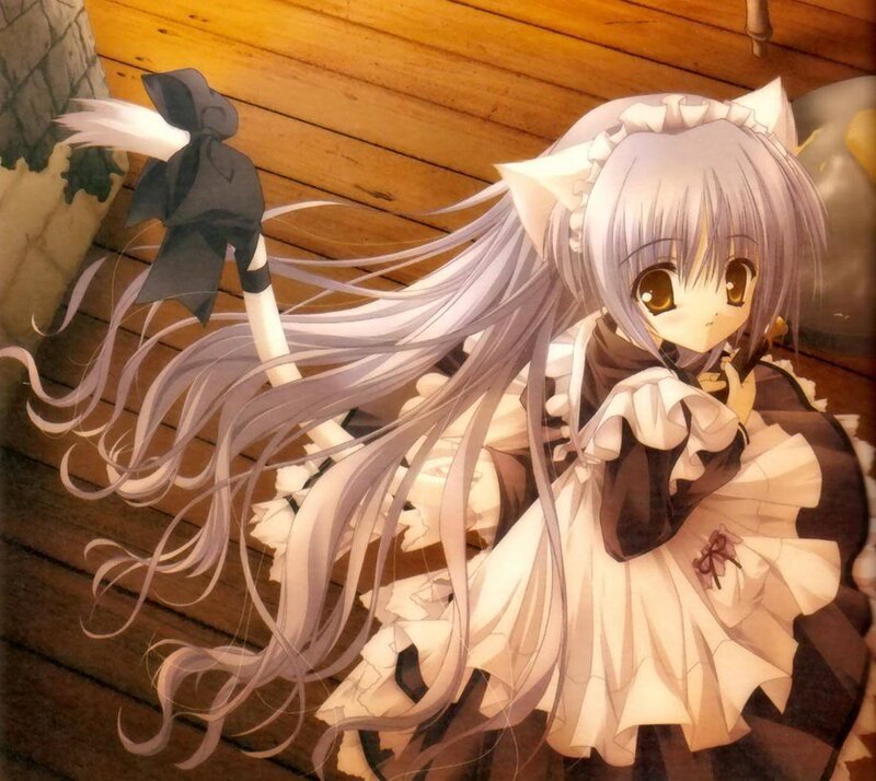 Anime Girl with Cat Ears — White, Calm