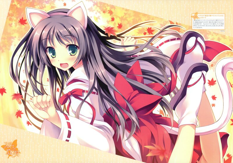 Anime Girl with Cat Ears — White, Cheerful