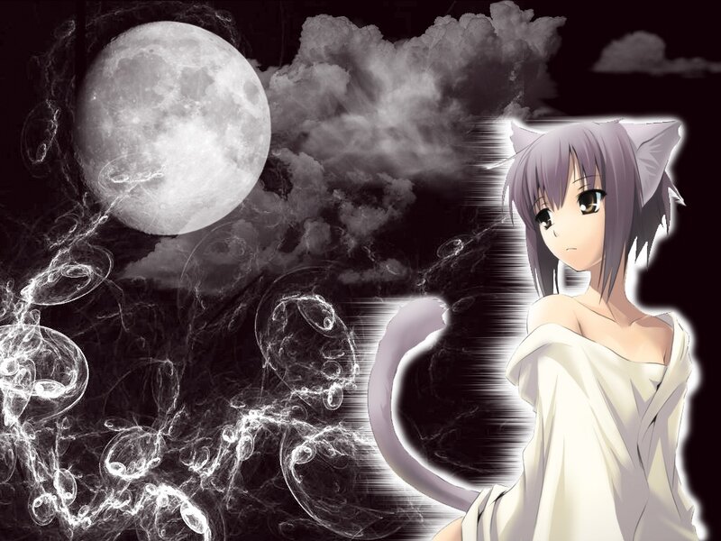 Anime Girl with Cat Ears — White, Dramatic, Night, Moon