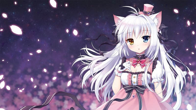 Anime Girl with Cat Ears — White, Dreamy, Night, Cat Ears