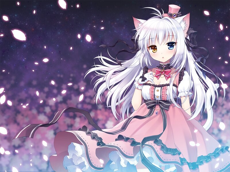 Anime Girl with Cat Ears — White, Dreamy
