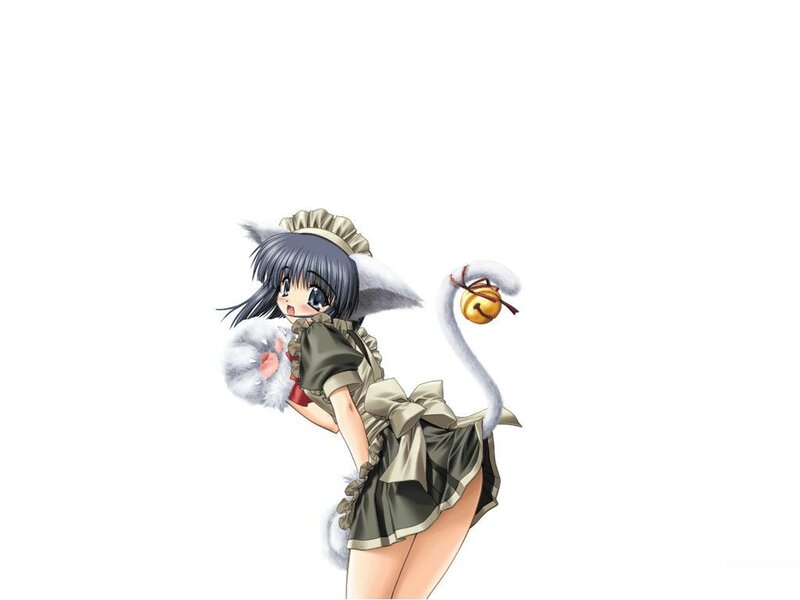 Anime Girl with Cat Ears — White, Playful, Cat Ears, Tail, Bell