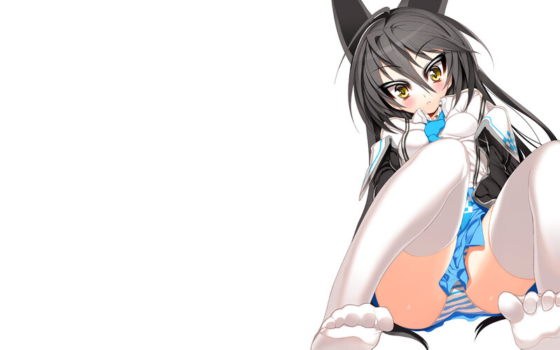 Anime Girl with Cat Ears — White, Playful, Cat Ears, White Background