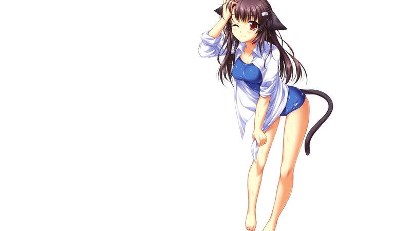 Anime Girl with Cat Ears — White, Playful, Cat Tail, White Shirt