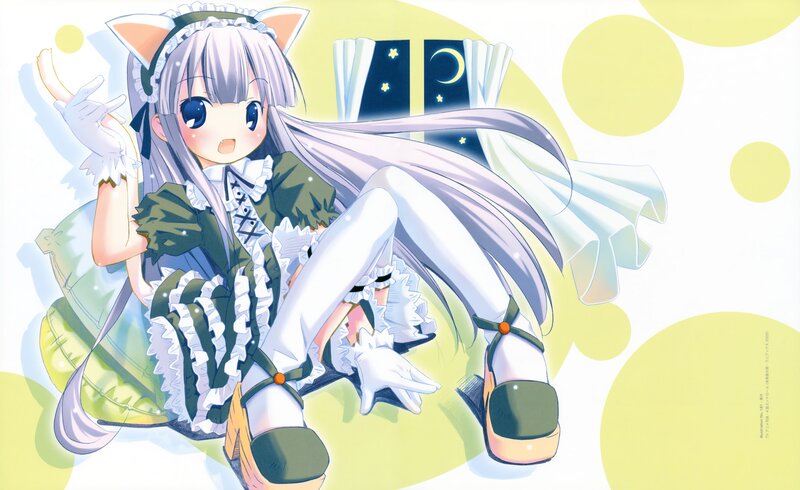 Anime Girl with Cat Ears — White, Playful, Night, Cat Ears