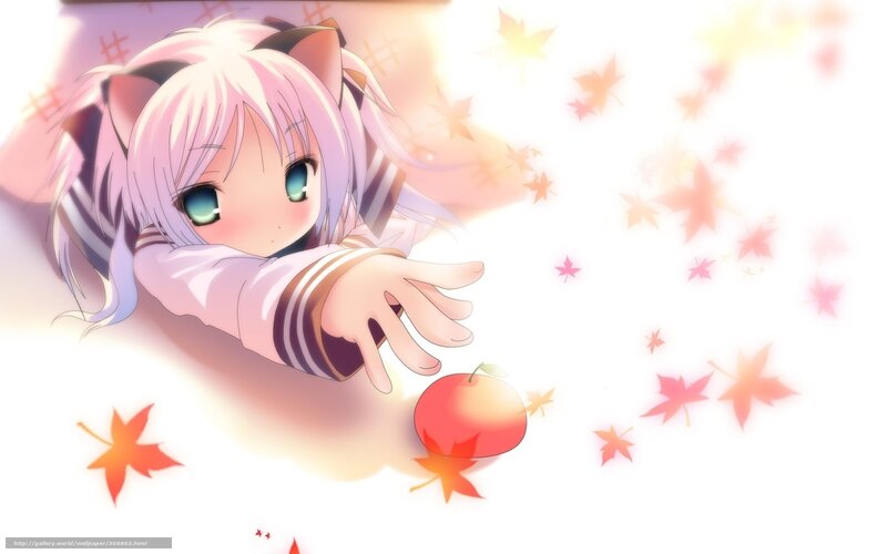 Anime Girl with Cat Ears — White, Serene, Autumn, Apple
