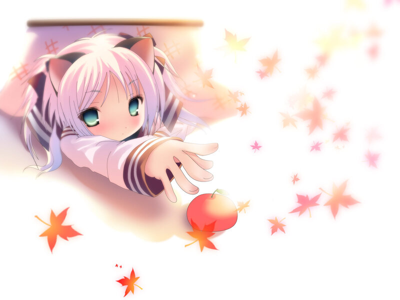 Anime Girl with Cat Ears — White, Serene, Autumn, Cat Ears