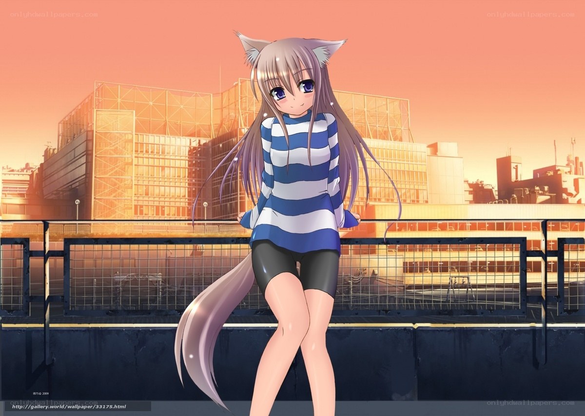 anime girl with cat ears