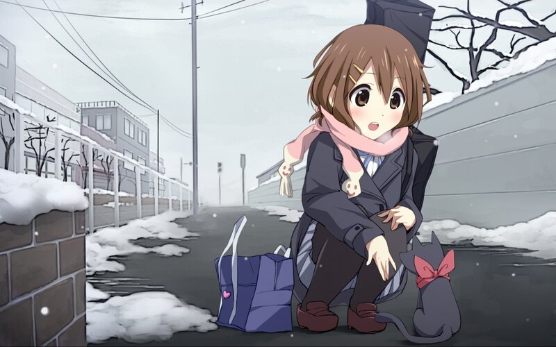 Anime Girl with Cat — Gray, Calm, Winter