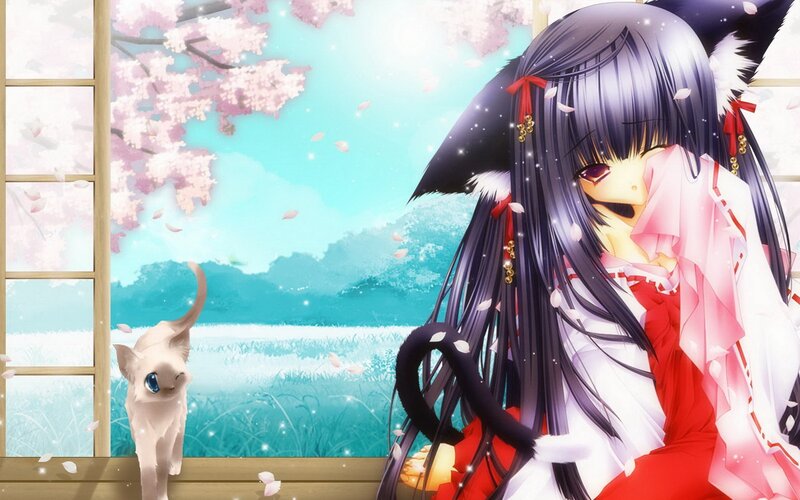 anime girl with cat in cherry blossom