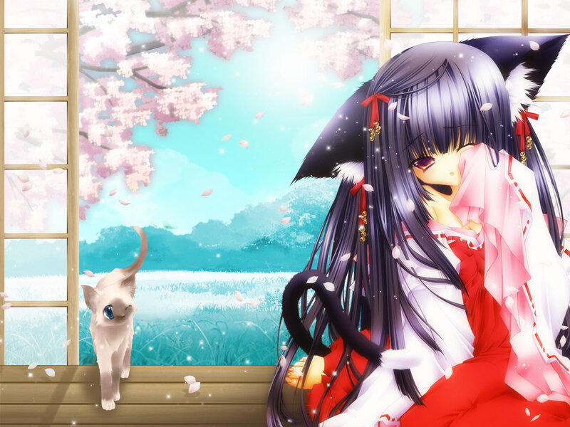 Anime girl with cat in cherry blossom