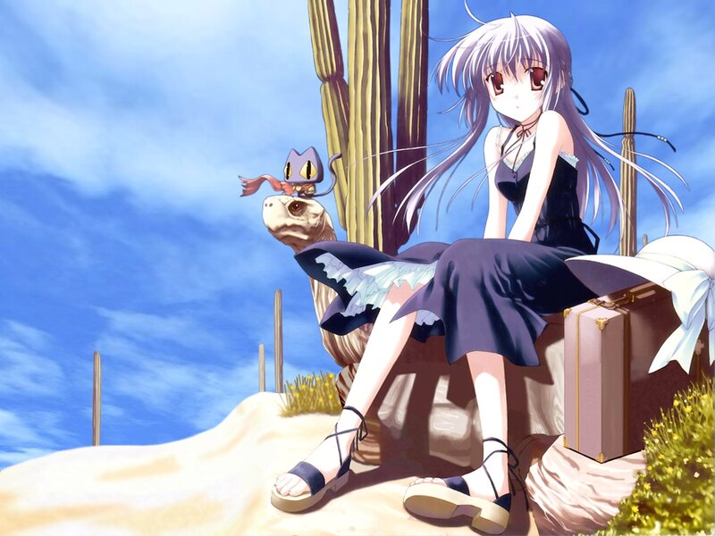 anime girl with cat in desert