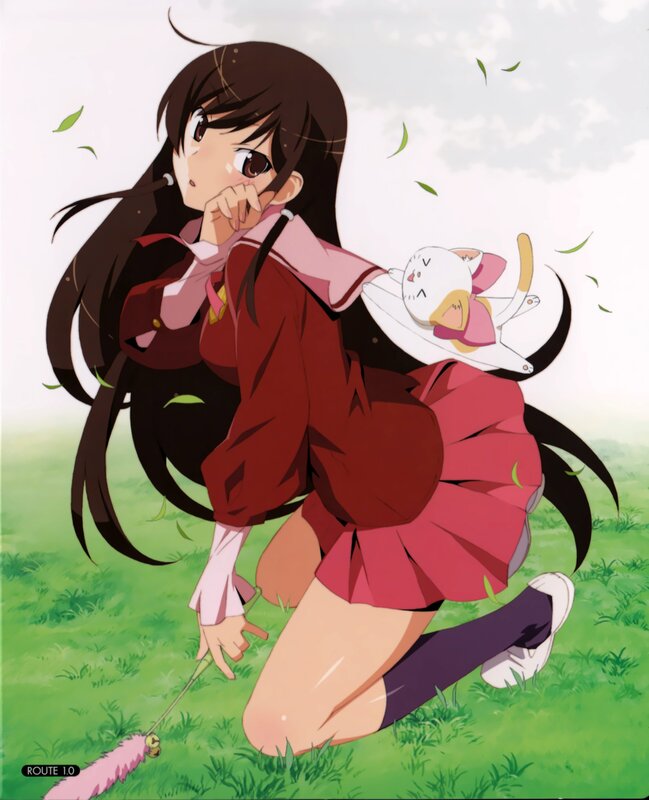 anime girl with cat in field