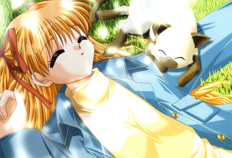 Anime girl with cat in grass