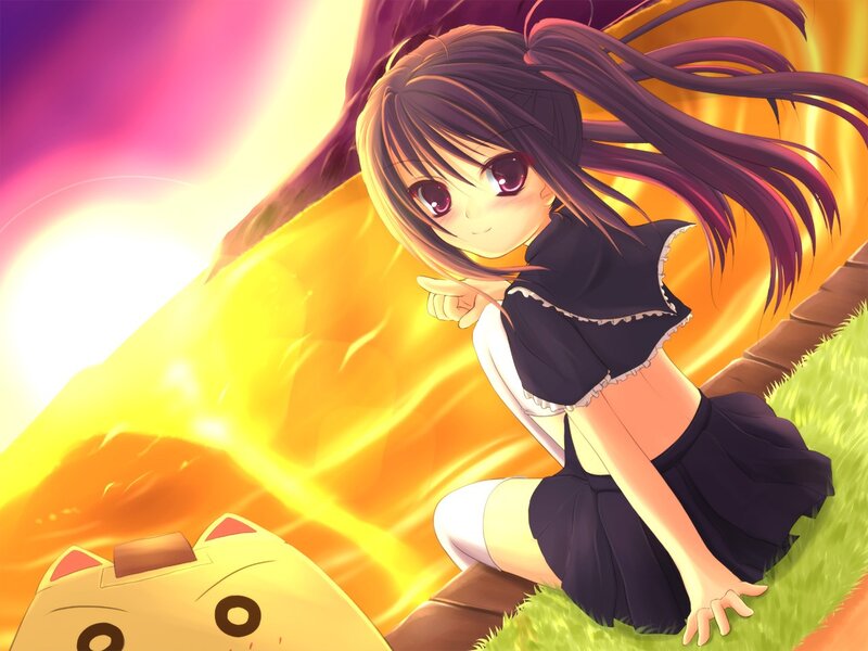 anime girl with cat in sunset