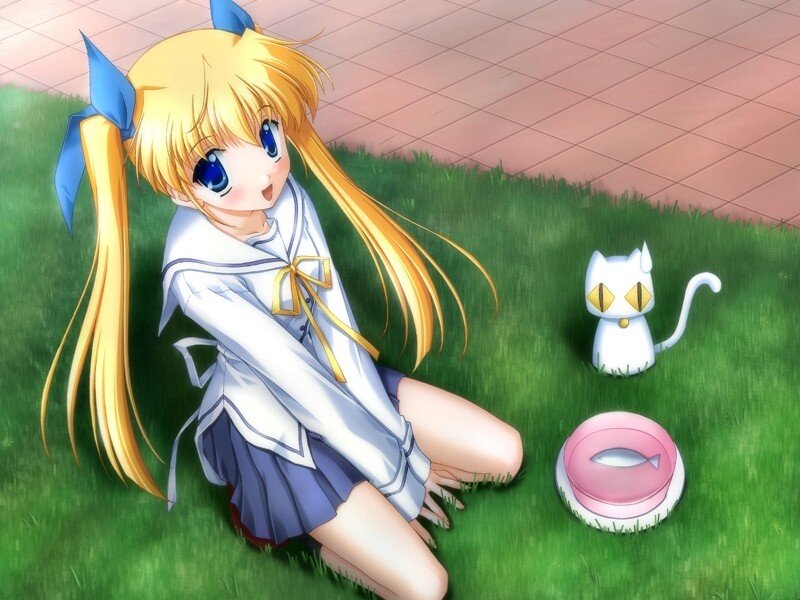 anime girl with cat on grass
