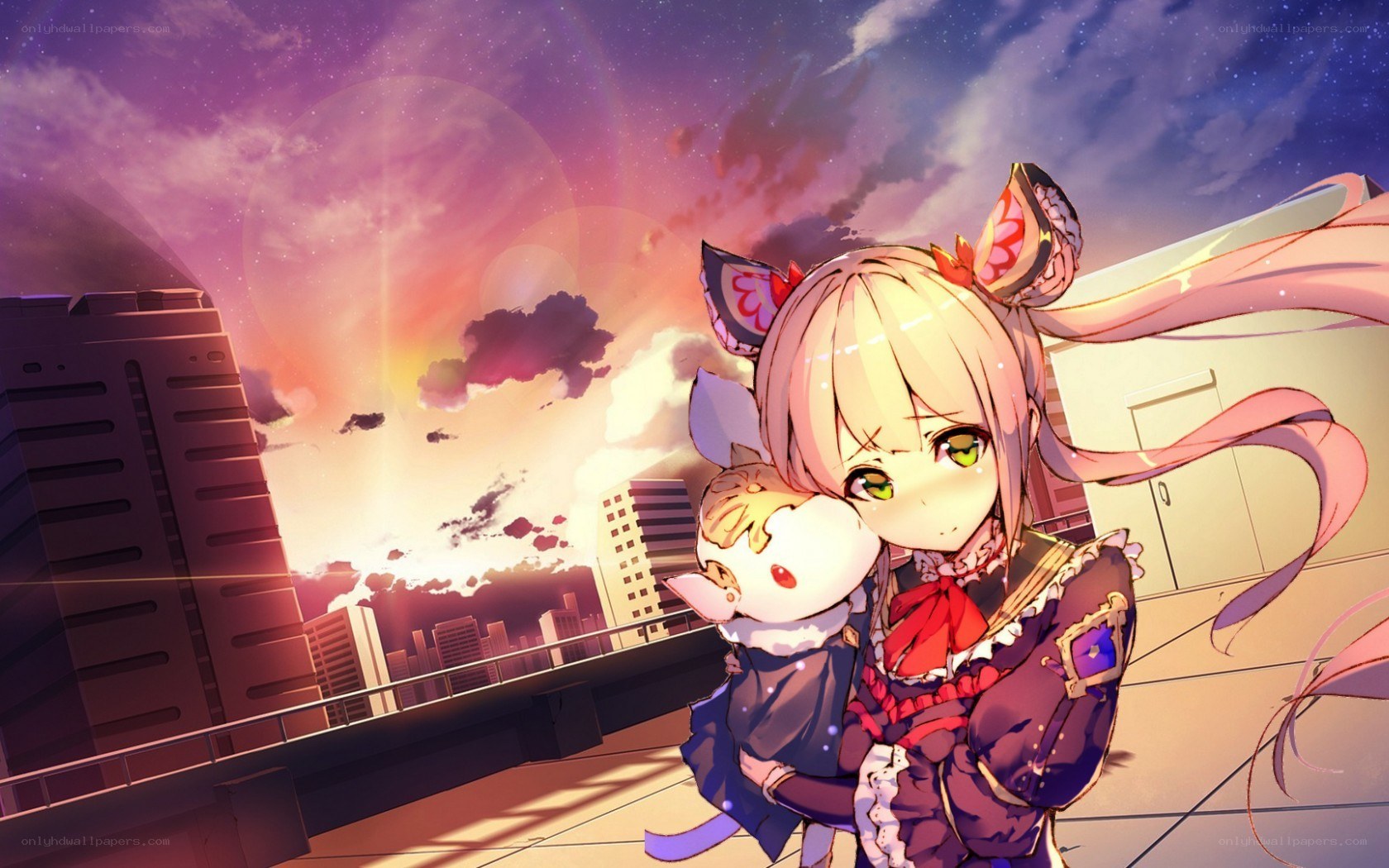 anime girl with cat on rooftop