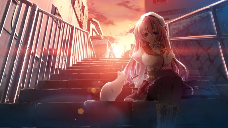 Anime Girl with Cat — Orange, Serene, Sunset